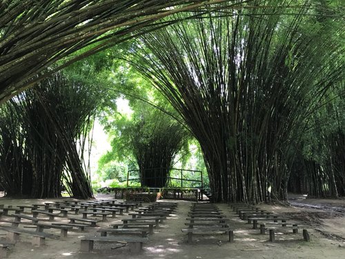 THE 5 BEST Things to Do in Tela - 2024 (with Photos) - Tripadvisor